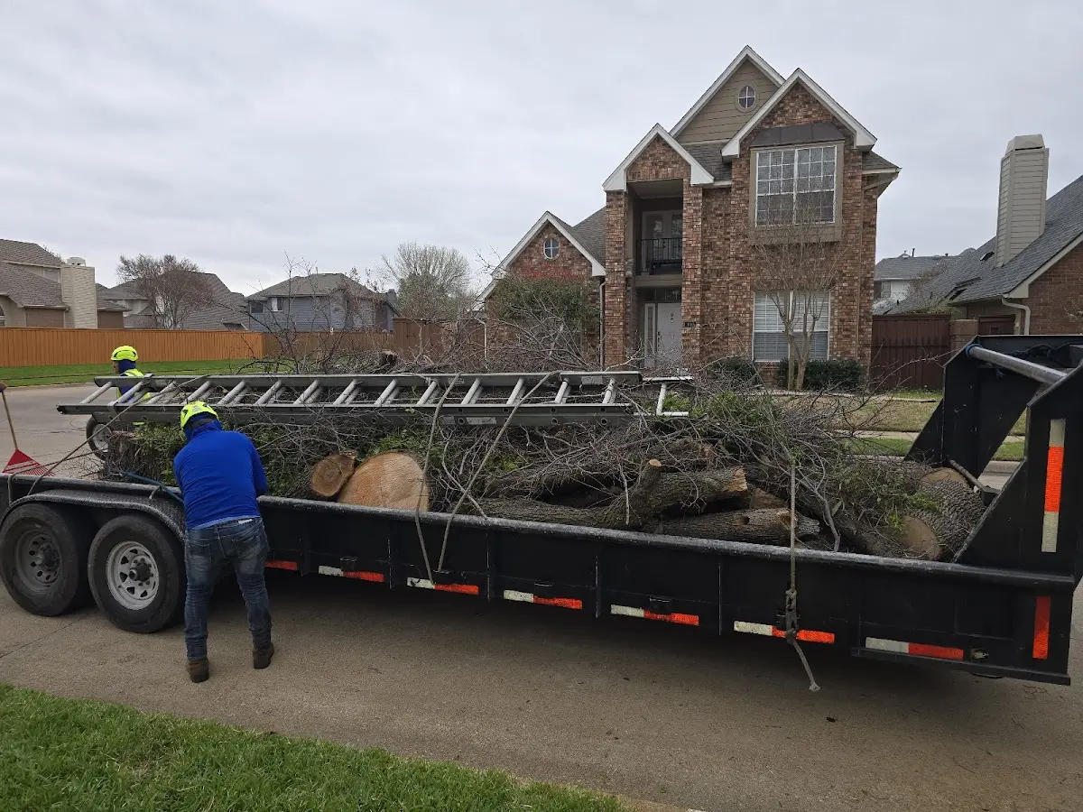 Expert Tree Fertilization with proper safety equipment in Warner